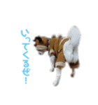 茶瑠すたんぷ。（個別スタンプ：25）