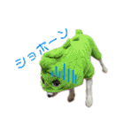 茶瑠すたんぷ。（個別スタンプ：26）