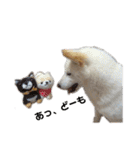 茶瑠すたんぷ。（個別スタンプ：28）