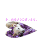 茶瑠すたんぷ。（個別スタンプ：36）
