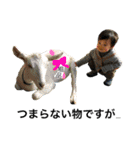 もちもち男ふわふわ犬（個別スタンプ：17）