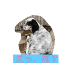ろりおスタンプその2（個別スタンプ：1）