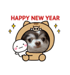 dogs wan1（個別スタンプ：3）