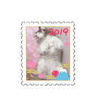 dogs wan1（個別スタンプ：4）