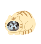 dogs wan1（個別スタンプ：6）
