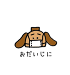 しるわんこ（個別スタンプ：13）