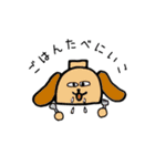しるわんこ（個別スタンプ：16）