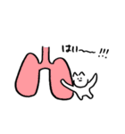 柔軟なねこ2（個別スタンプ：17）