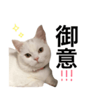 ジュエルとティアラ（個別スタンプ：1）