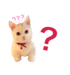 ジュエルとティアラ（個別スタンプ：2）
