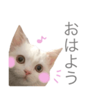 ジュエルとティアラ（個別スタンプ：9）