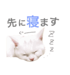 ジュエルとティアラ（個別スタンプ：10）