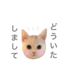 ジュエルとティアラ（個別スタンプ：12）