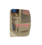 るたんず（個別スタンプ：2）