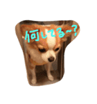 佐藤家のちゃちゃまるくん②（個別スタンプ：9）