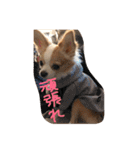 佐藤家のちゃちゃまるくん②（個別スタンプ：14）
