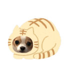 佐藤家のちゃちゃまるくん②（個別スタンプ：29）