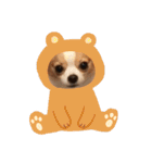 佐藤家のちゃちゃまるくん②（個別スタンプ：30）