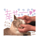 マルちゃんの日常（個別スタンプ：36）