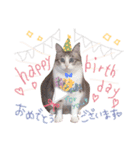 マルちゃんの日常（個別スタンプ：40）