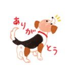 うちの犬子ちゃん（個別スタンプ：3）