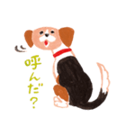 うちの犬子ちゃん（個別スタンプ：8）