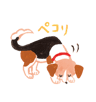 うちの犬子ちゃん（個別スタンプ：9）