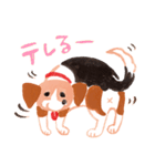 うちの犬子ちゃん（個別スタンプ：14）