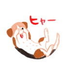 うちの犬子ちゃん（個別スタンプ：15）