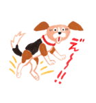 うちの犬子ちゃん（個別スタンプ：16）