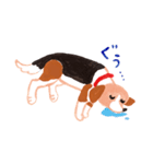 うちの犬子ちゃん（個別スタンプ：18）