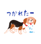 うちの犬子ちゃん（個別スタンプ：21）