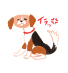 うちの犬子ちゃん（個別スタンプ：23）