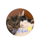 ポムとポチャとペコとベル（個別スタンプ：18）