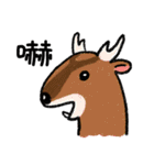 ノグリーと彼の友達（個別スタンプ：7）