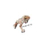 みんなが飼ってるペット（個別スタンプ：3）