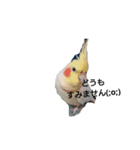 みんなが飼ってるペット（個別スタンプ：6）