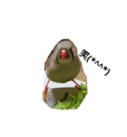 みんなが飼ってるペット（個別スタンプ：18）