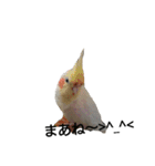 みんなが飼ってるペット（個別スタンプ：38）