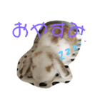 小麦さんの気持ち（個別スタンプ：4）