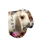 小麦さんの気持ち（個別スタンプ：6）
