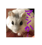 小麦さんの気持ち（個別スタンプ：12）