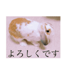 小麦さんの気持ち（個別スタンプ：14）