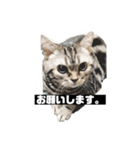 アメち〜2（個別スタンプ：1）