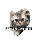 アメち〜2（個別スタンプ：2）