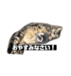 アメち〜2（個別スタンプ：3）
