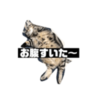 アメち〜2（個別スタンプ：5）