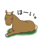 可愛いお馬の日常スタンプ①（個別スタンプ：24）