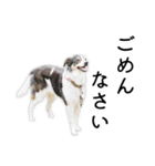 モモの敬語スタンプ（個別スタンプ：20）