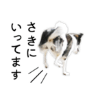 モモの敬語スタンプ（個別スタンプ：28）